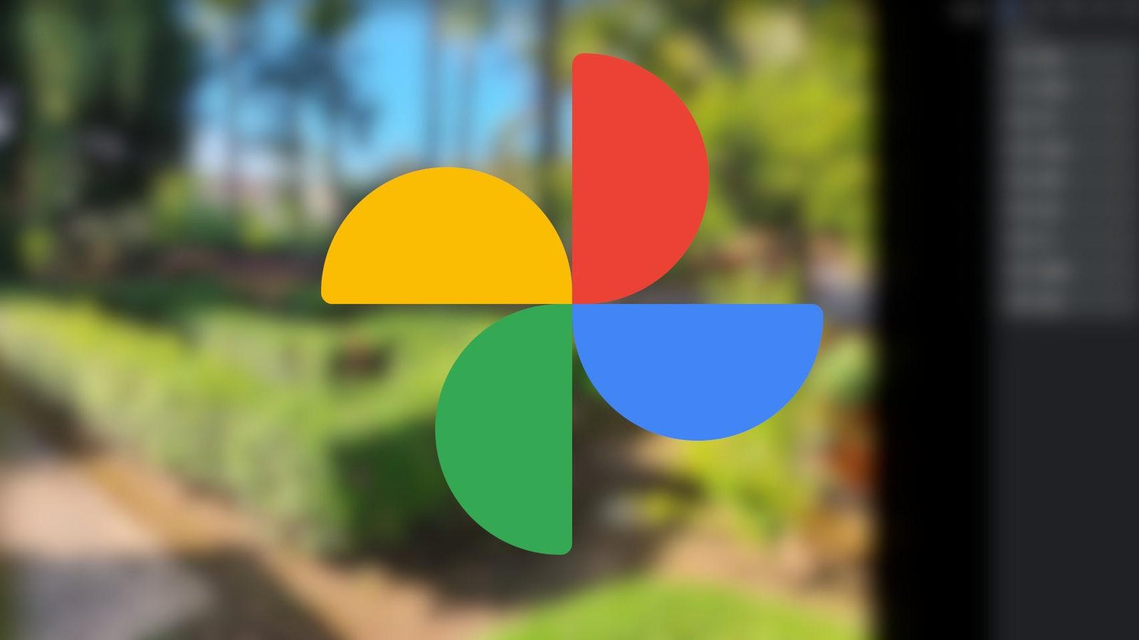 The new Google photos is one of the most anticipated options to edit your images