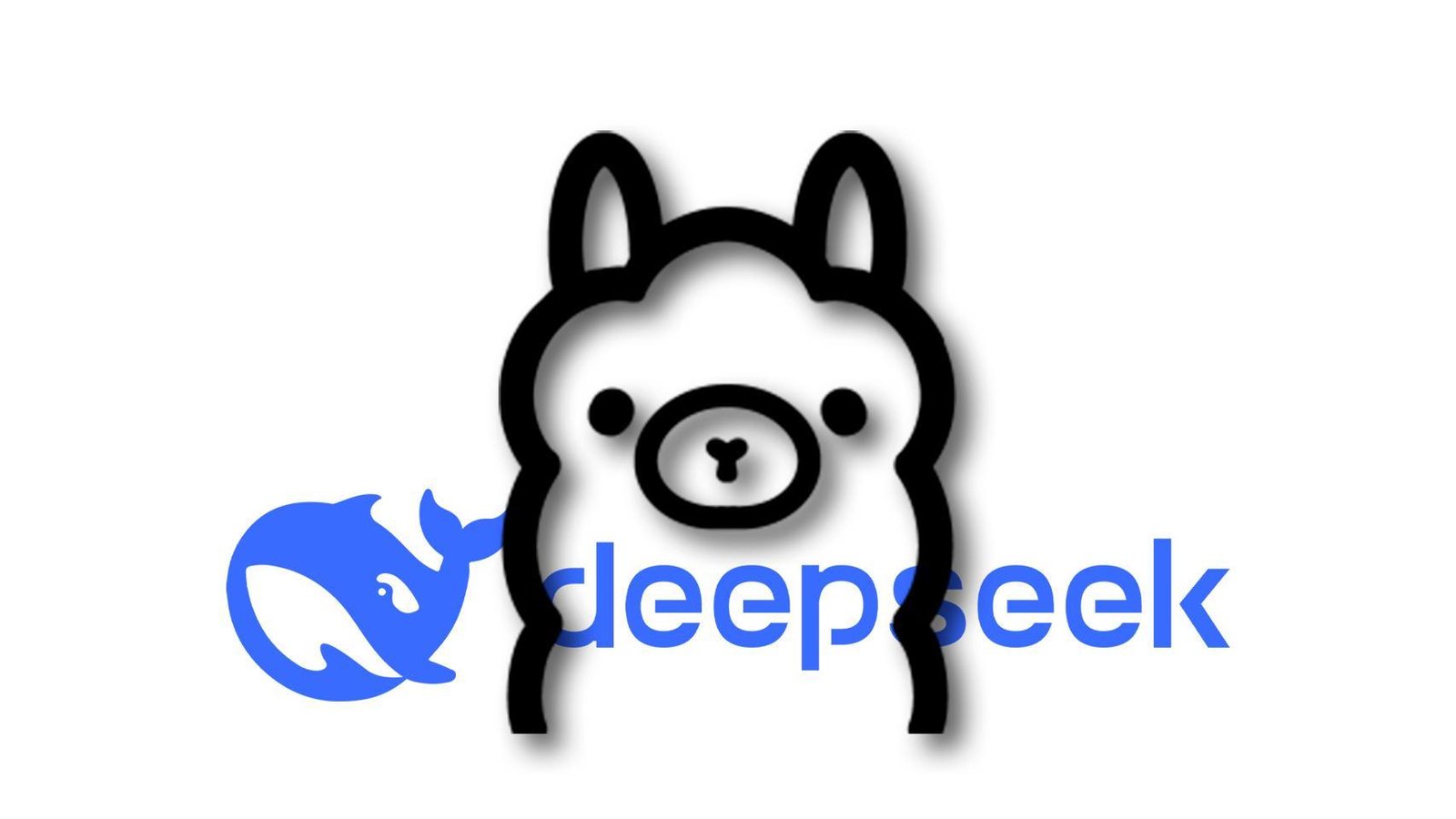 The free program that allows you to use Depseek R1 and other AI models without internet