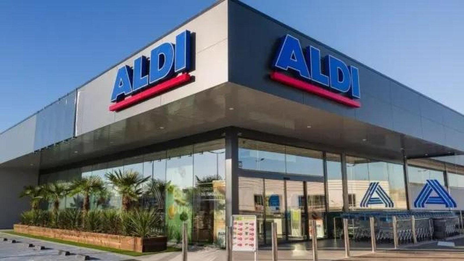 The connected emergency light that Aldi will sell for less than 40 euros for a limited time and will be mandatory for your car